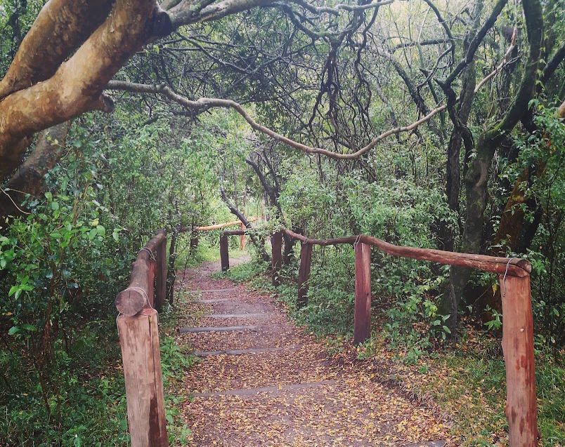 Reserva Natural Privada Termas del Guaych&uacute;